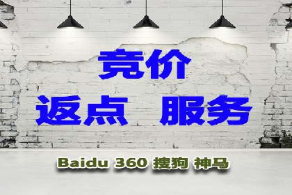 SEM主管实战技巧：案例分享与解读
