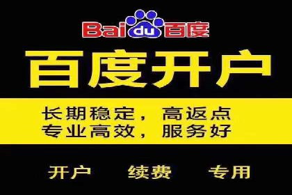 某行业sem竞价开户的经典案例剖析